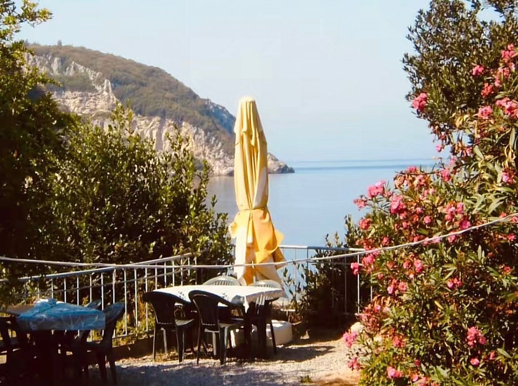 ✨ Sony Cybershot S750