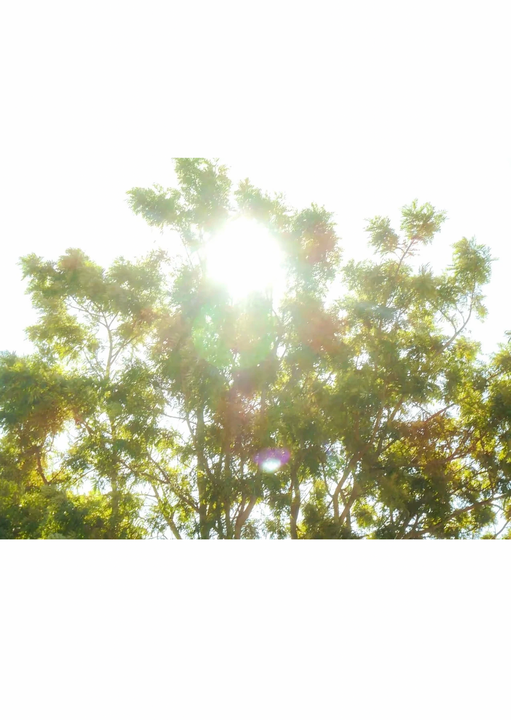 📸 Sony Cyber-shot W810