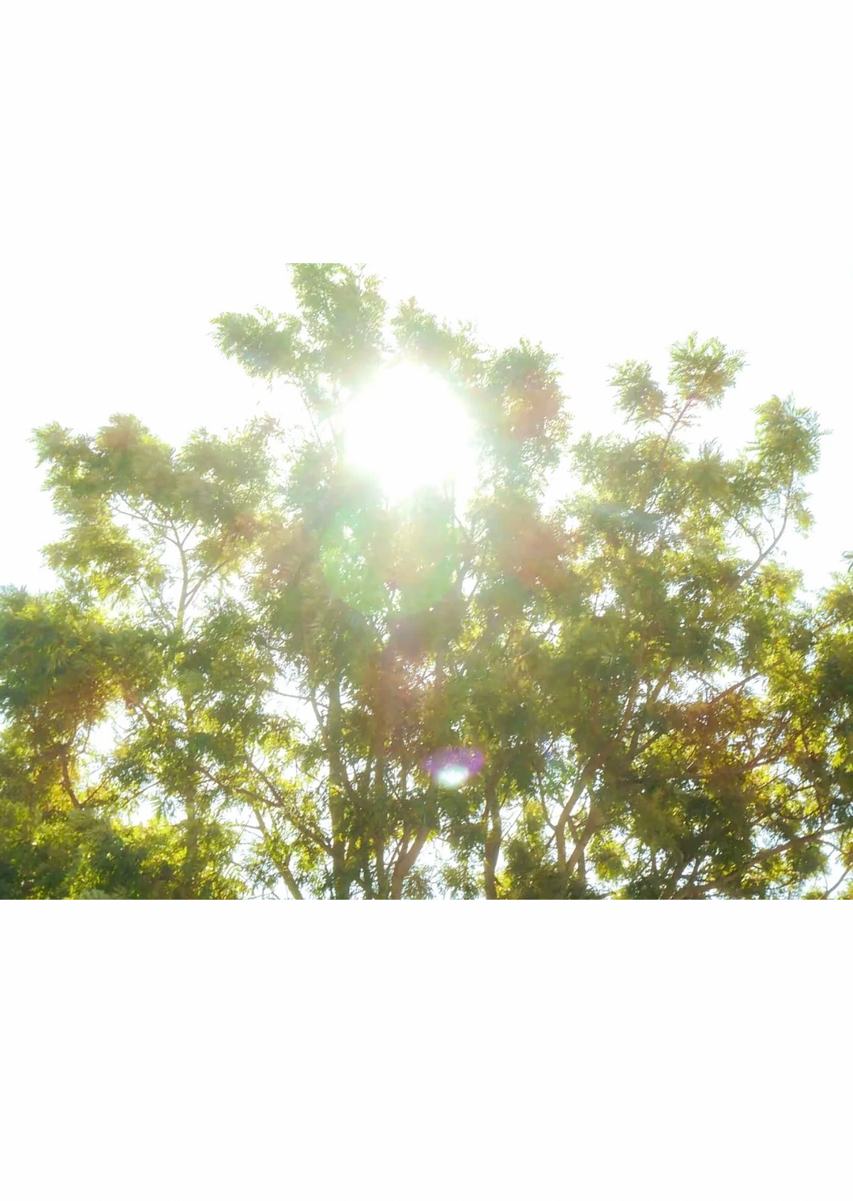 📸 Sony Cyber-shot W810